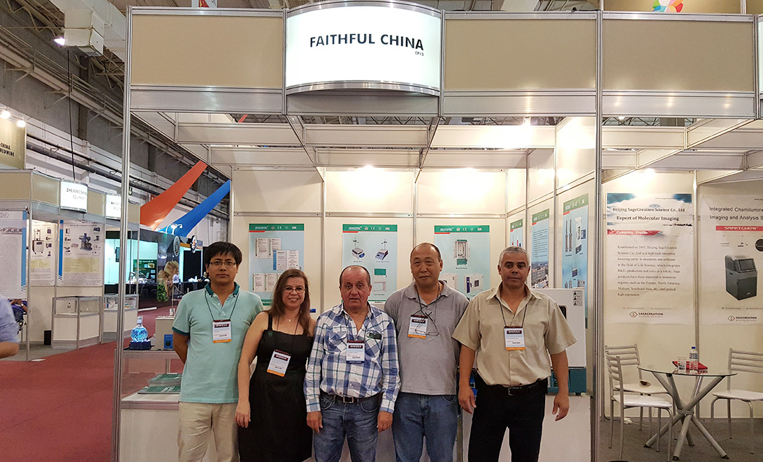 2015 في البرازيل