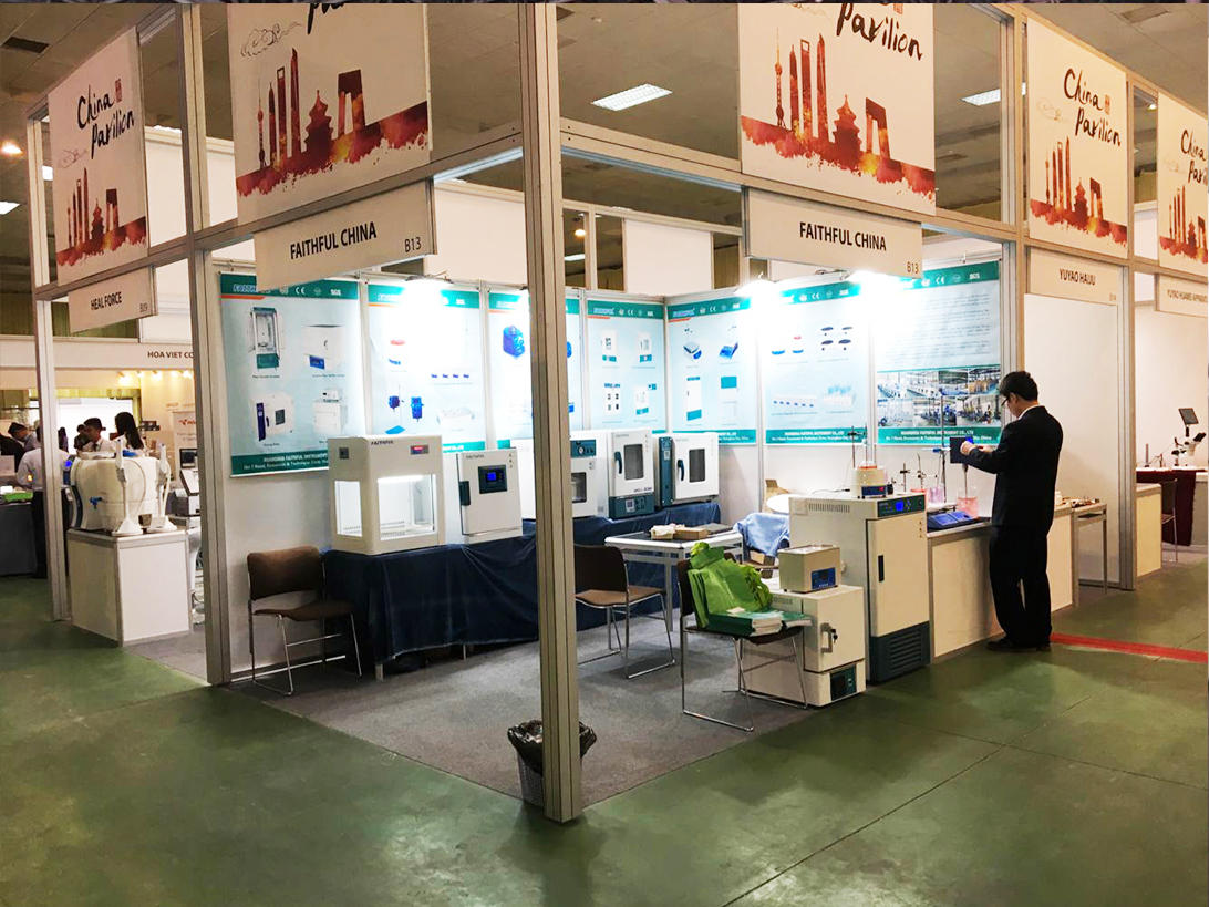 2017 فيتنام التحليلية