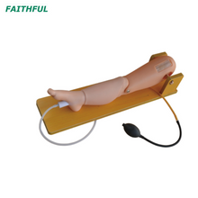 XC-481 ثقب نخاع العظم الطفل ونموذج الثقب الوريدي الفخذي