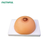 نموذج التدريب على الرضاعة XC-418B