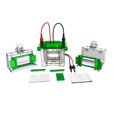 نظام الرحلان الكهربي للبروتين ونظام Transblot FL-Mini01