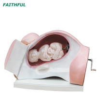 نموذج سلسلة XC-402 بالطبع التسليم