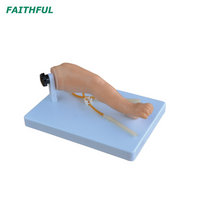 XC-485 ساق الوريد الرضع المتقدم