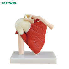 سلسلة الكتف XC-109 سلسلة 