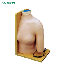 XC-452 نموذج حقن المفصل داخل الكتف