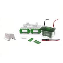 نظام الرحلان الكهربي للبروتين ونظام Transblot FL-Mini04