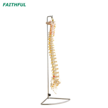 عمود Modle XC-107Series