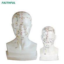 XC-507A/XC-507 （نموذج الوخز بالإبر.