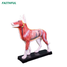 XC-600Series نموذج الوخز بالإبر