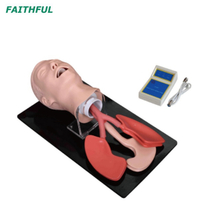 XC-407Series نموذج تنبيب القصبة الهوائية البشرية