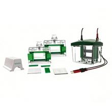 نظام الرحلان الكهربي للبروتين ونظام Transblot FL-Mini02
