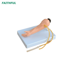 XC-484 Advanced Infant Penduncture Arm