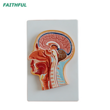 XC-319 سلسلة متوسطة/ أمامية من الرأس