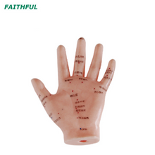 XC-500Series نموذج اليد