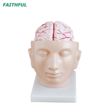 XC-318 Series Series Model