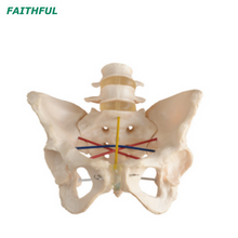 XC-469 نموذج مظاهرة الحوض