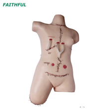 XC-471 خياطة جراحية ونموذج ضمادة