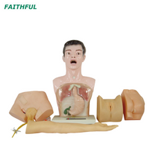 XC-405 ممرضة نموذج تدريس الممارسات الأساسية